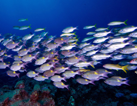 水族馆