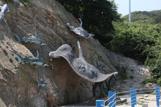 海之韵公园海底世界海洋生物