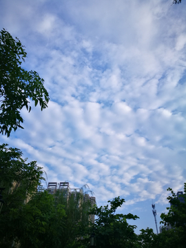 鱼鳞云层