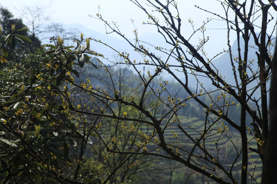 自然山水风光