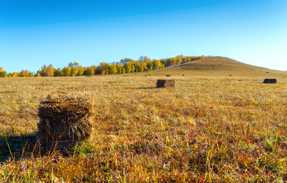 内蒙古草原上的干草堆