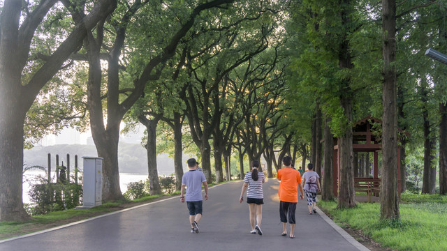 湖畔健康步道