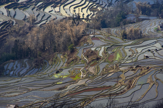 云南元阳梯田