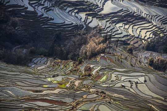 云南元阳梯田