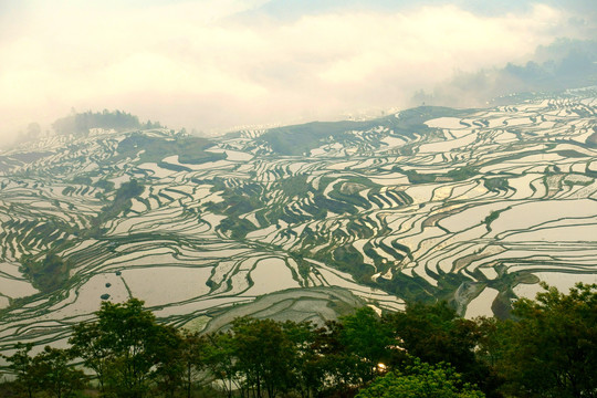 元阳哈尼梯田