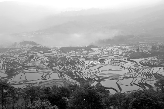 水墨梯田