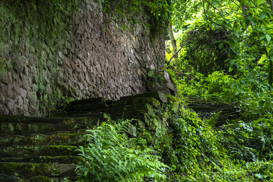 东溪古石梯