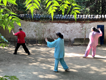 晨练太极拳