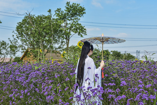 花海里的古装美女