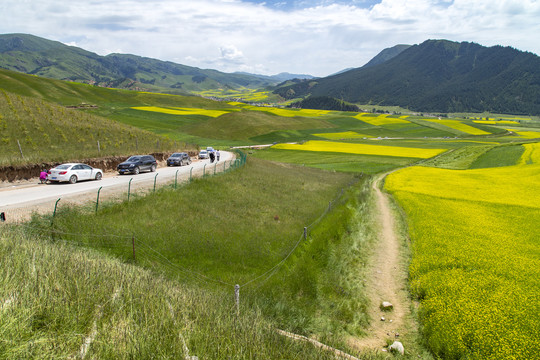 祁连山旅游