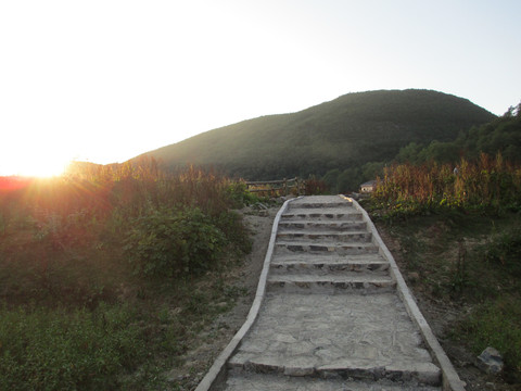 九耙村风景