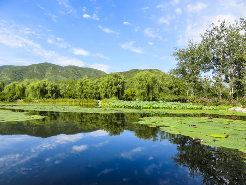 青山绿水