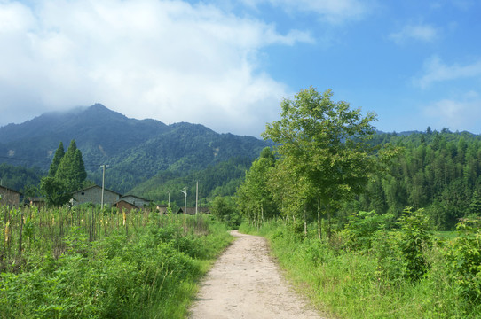 美丽的乡间小路