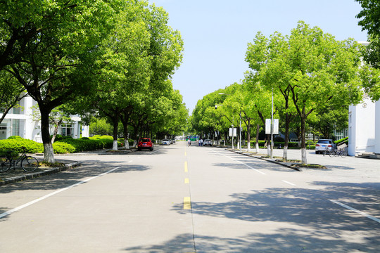 校园内部道路