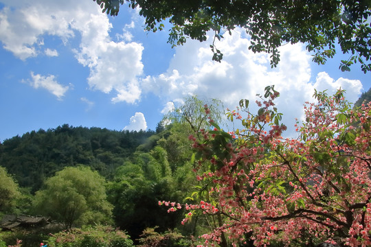 重庆酉阳桃花源