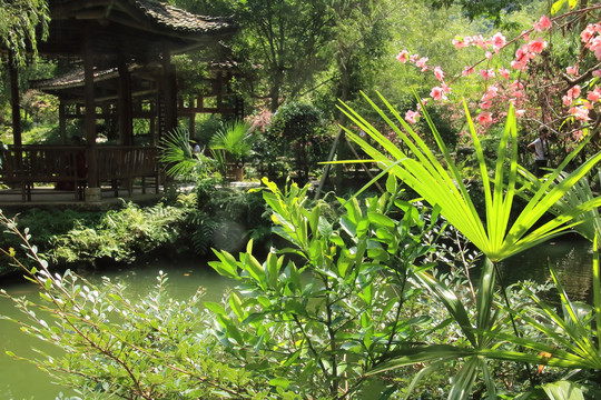 重庆酉阳桃花源