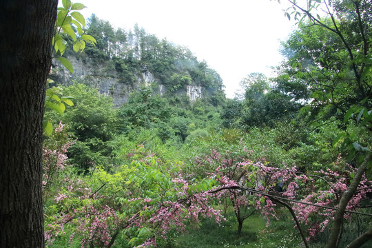 重庆酉阳桃花源