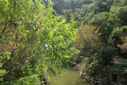 重庆酉阳桃花源