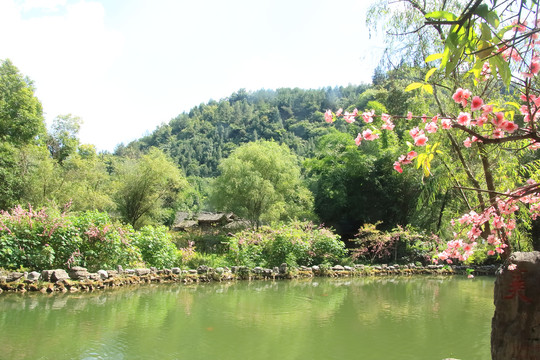 重庆酉阳桃花源