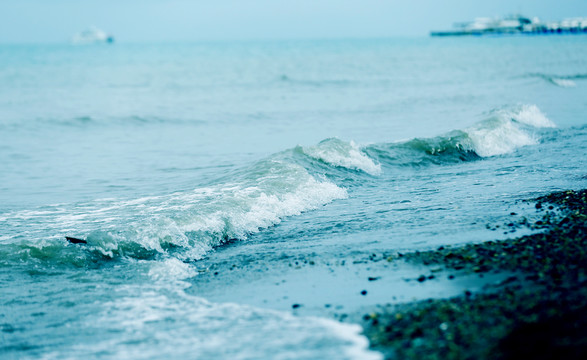 青海湖畔