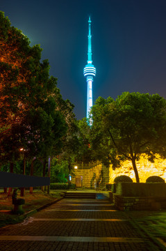 武汉夏日城市天际线夜景风光