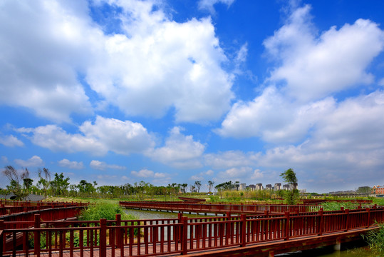 九州洼湿地公园风光