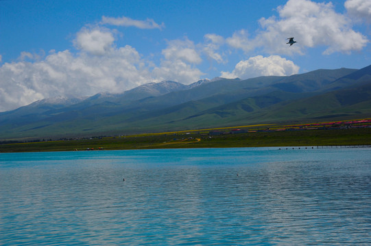 青海湖