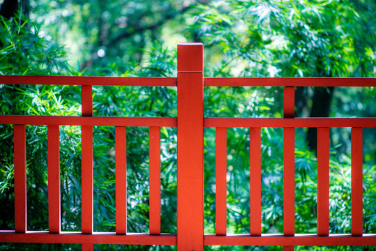 红色的忠实栏杆和绿色背景