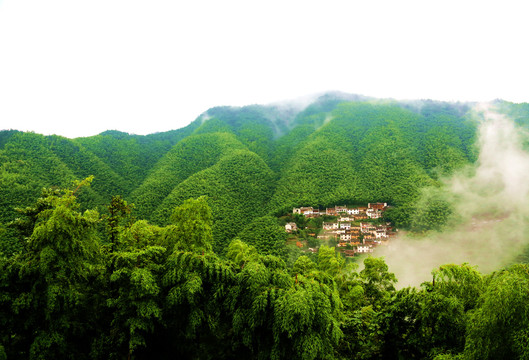 黄山竹海人家