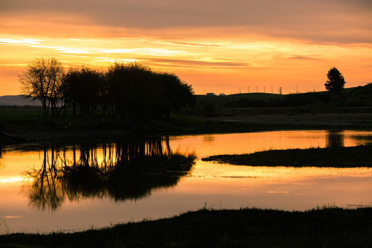 湿地河流树木落日