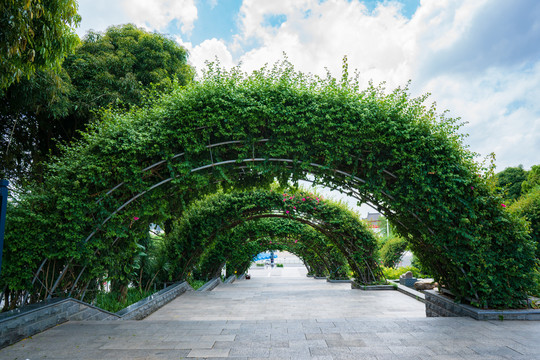 花艺园艺绿植拱门造型