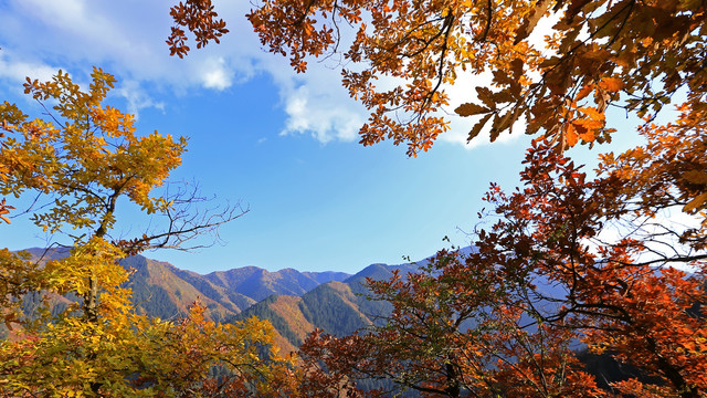 兴隆山秋色