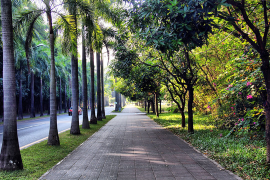 深圳大学