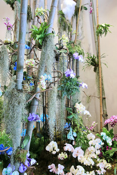 竹子花架展示台