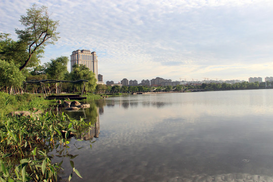 南京江北新区龙池湖边