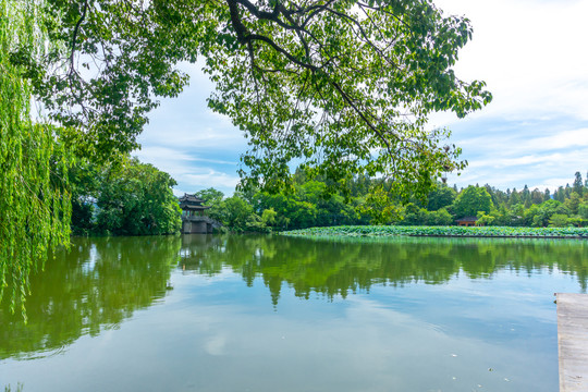 西湖装饰画