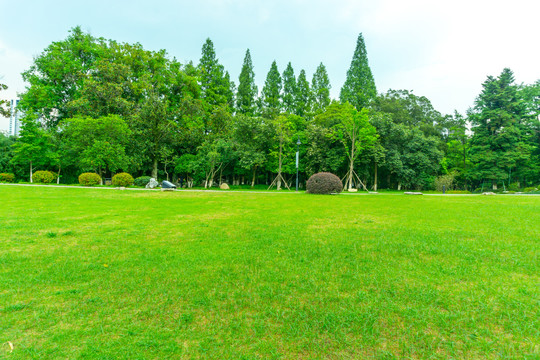 绿水林绿草地