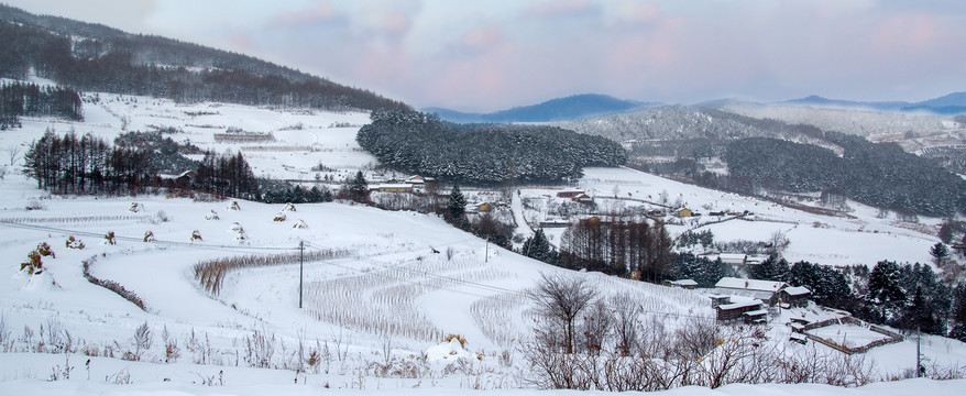 中国雪村