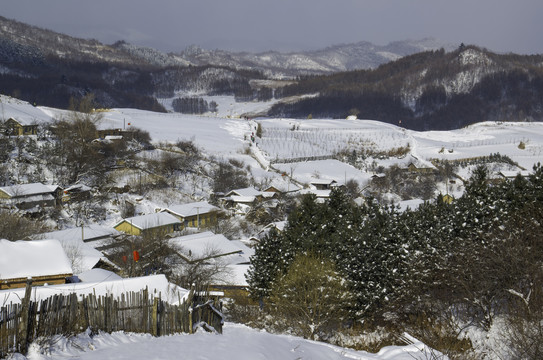 中国雪村