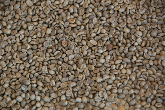 咖啡豆颗粒