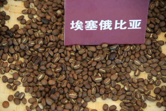 咖啡豆埃塞俄比亚