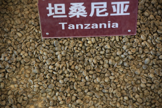 咖啡豆坦桑尼亚产