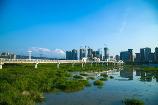 蓝天草地大桥湿地公园