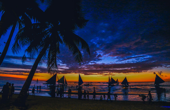 椰树夕阳沙滩