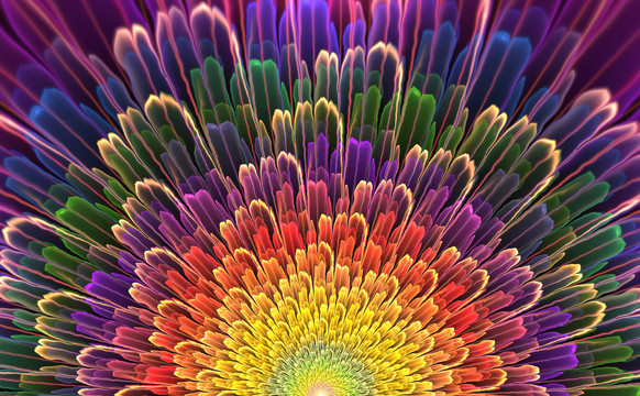 花朵装饰画