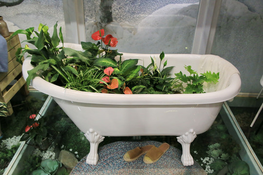 浴缸中的园艺种植