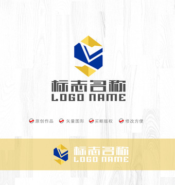 钻石标志V字母LOGO