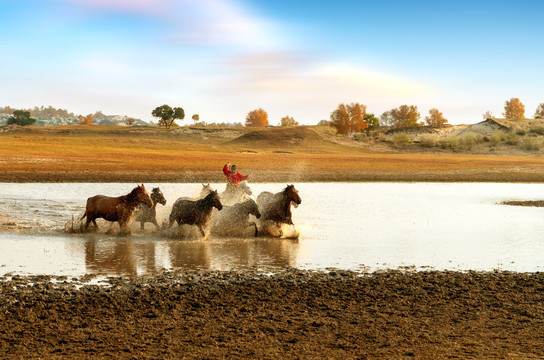一群马在水中奔跑