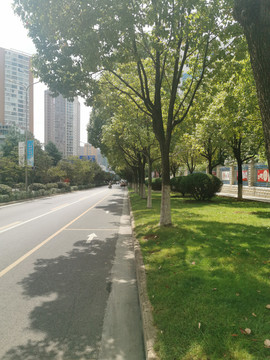 城市道路绿化