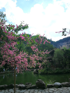 重庆酉阳桃花源